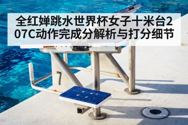 全红婵跳水世界杯女子十米台207C动作完成分解析与打分细节